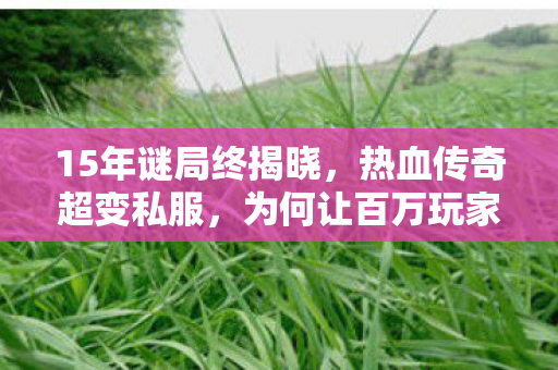 为何让百万玩家泪目图片
