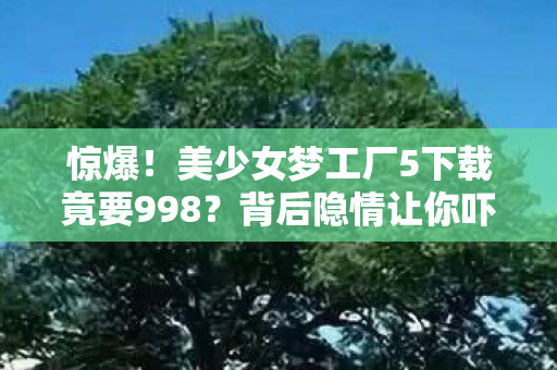 美少女梦工厂5下载竟要998图片