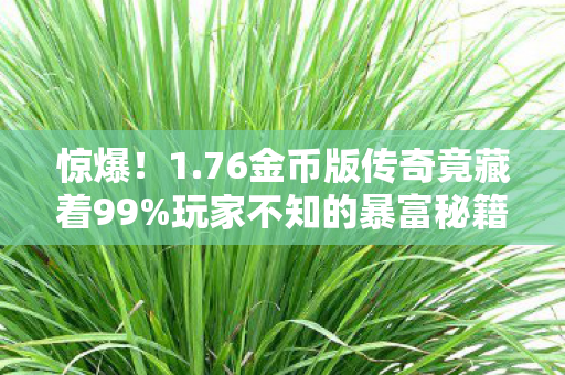 76金币版传奇竟藏着99图片