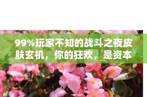 玩家不知的战斗之夜皮肤玄机图片