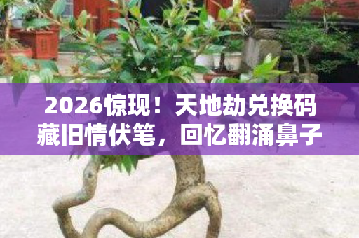 天地劫兑换码藏旧情伏笔图片