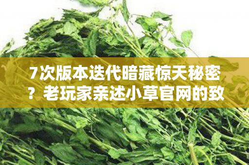 老玩家亲述小草官网的致命吸引力图片