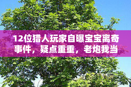 12位猎人玩家自曝宝宝离奇事件图片