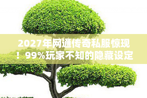 2027年网通传奇私服惊现图片