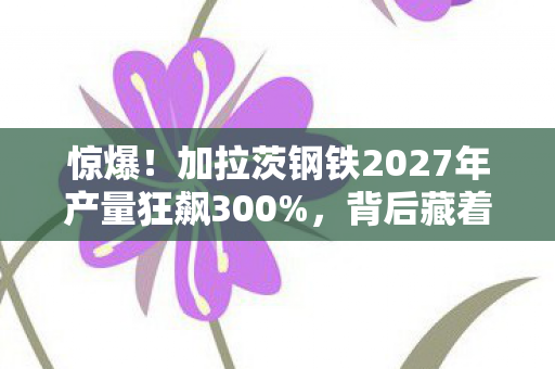 加拉茨钢铁2027年产量狂飙300图片
