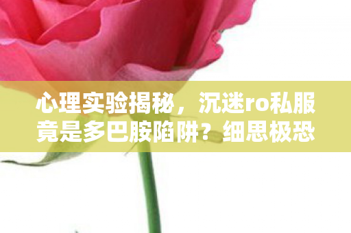 沉迷ro私服竟是多巴胺陷阱图片