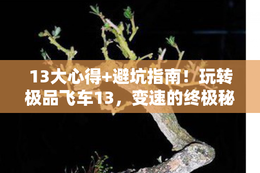 玩转极品飞车13图片