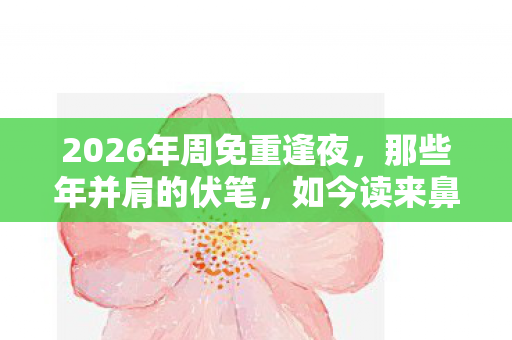 2026年周免重逢夜图片