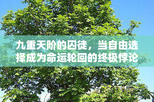 当自由选择成为命运轮回的终极悖论图片