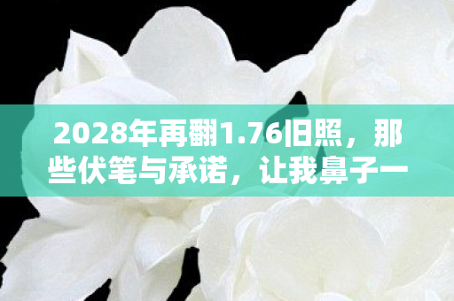 2028年再翻1图片