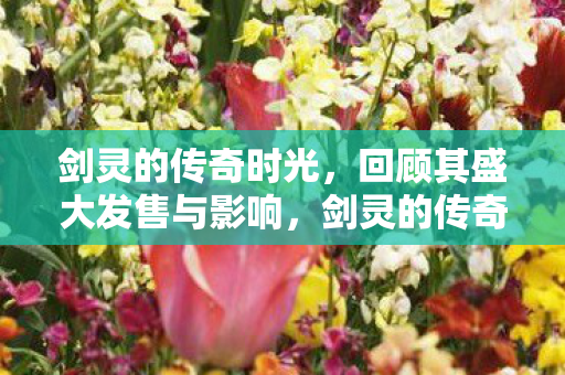 剑灵的传奇时光，回顾其盛大发售与影响，剑灵的传奇，回顾盛大发售与深远影响