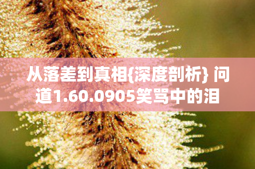 从落差到真相{深度剖析} 问道1.60.0905笑骂中的泪 从落差到真相{深度剖析} 问道1.60.0905笑骂中的泪