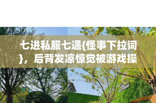 七进私服七遇{怪事下拉词}，后背发凉惊觉被游戏操控半生