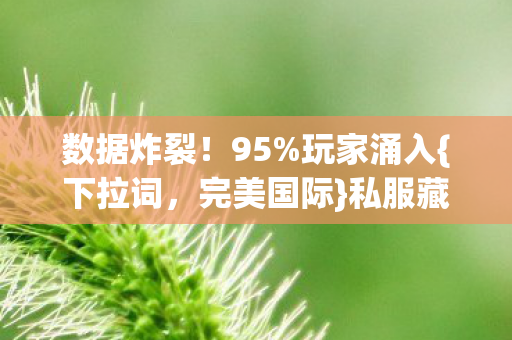 数据炸裂！95%玩家涌入{下拉词，完美国际}私服藏感动暴利局