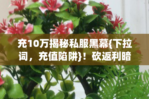 充10万揭秘私服黑幕图片