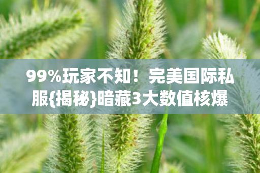 暗藏3大数值核爆机制图片
