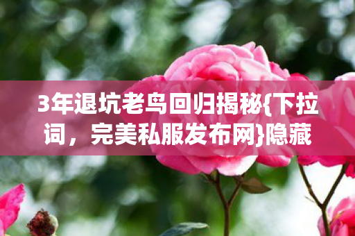3年退坑老鸟回归揭秘{下拉词，完美私服发布网}隐藏玩法