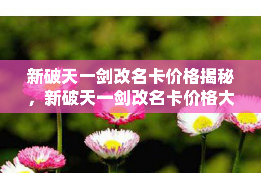 新破天一剑改名卡价格揭秘，新破天一剑改名卡价格大揭秘