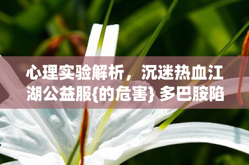 沉迷热血江湖公益服图片