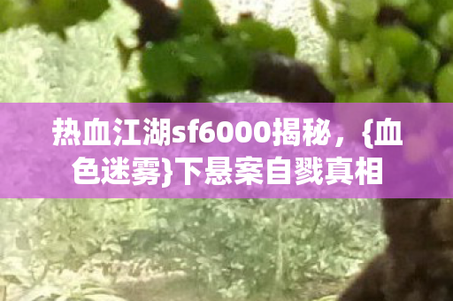 热血江湖sf6000揭秘图片