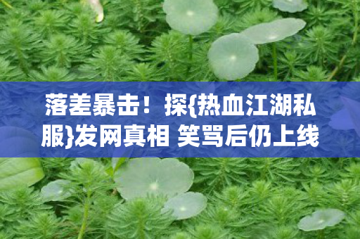 发网真相 笑骂后仍上线图片