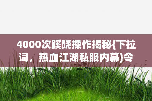 4000次蹊跷操作揭秘图片