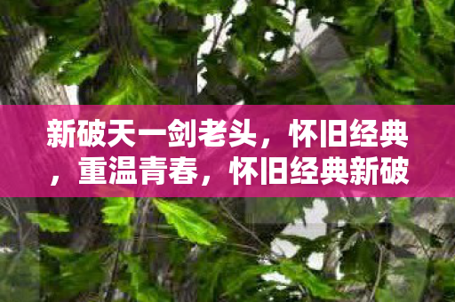 新破天一剑老头,怀旧经典,重温青春,怀旧经典新破天一剑重温青春记忆 新破天一剑老头,怀旧经典,重温青春,怀旧经典新破天一剑重温青春记忆