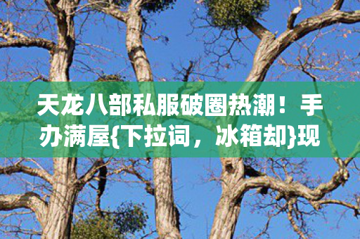 天龙八部私服破圈热潮!手办满屋{下拉词,冰箱却}现空城奇景 天龙八部私服破圈热潮!手办满屋{下拉词,冰箱却}现空城奇景