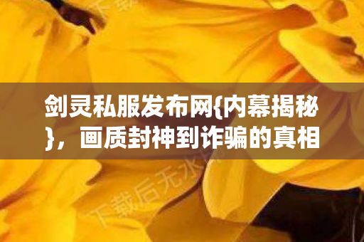 画质封神到诈骗的真相揭露图片