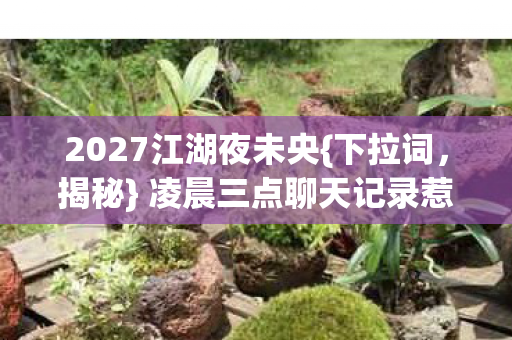 凌晨三点聊天记录惹人酸图片