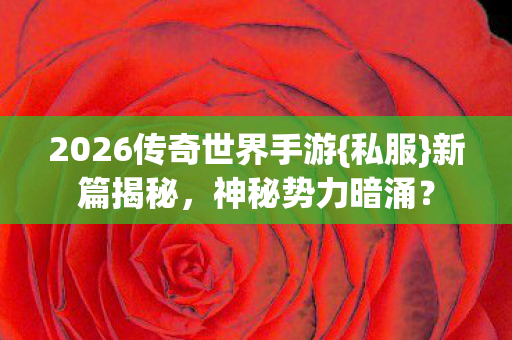 2026传奇世界手游{私服}新篇揭秘,神秘势力暗涌? 2026传奇世界手游{私服}新篇揭秘,神秘势力暗涌?
