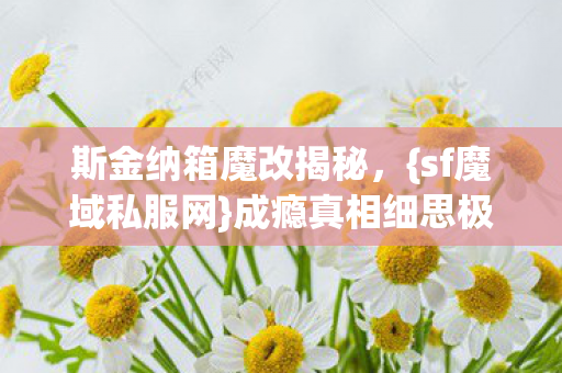 斯金纳箱魔改揭秘图片