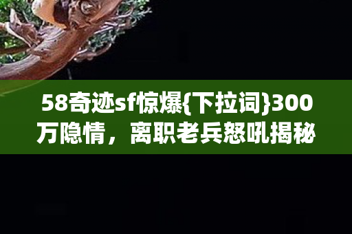 58奇迹sf惊爆图片