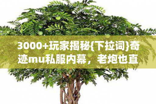 奇迹mu私服内幕图片