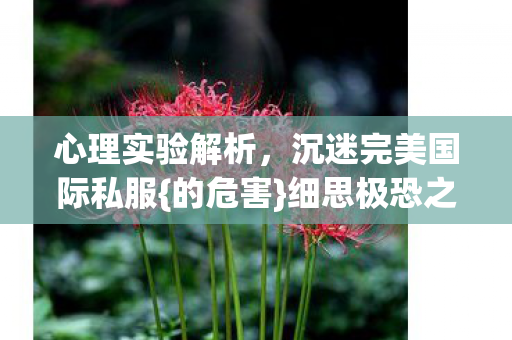 心理实验解析,沉迷完美国际私服{的危害}细思极恐之旅 心理实验解析,沉迷完美国际私服{的危害}细思极恐之旅