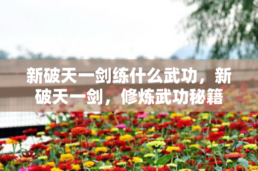 新破天一剑练什么武功,新破天一剑,修炼武功秘籍 新破天一剑练什么武功,新破天一剑,修炼武功秘籍
