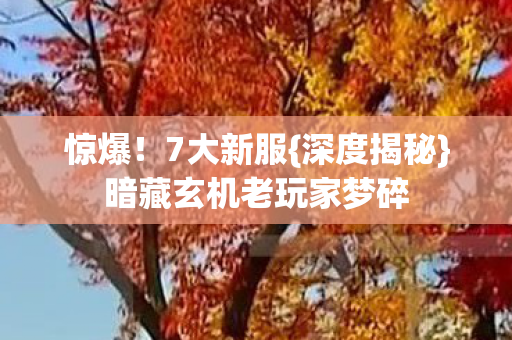 暗藏玄机老玩家梦碎图片