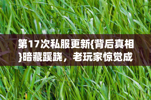 第17次私服更新图片