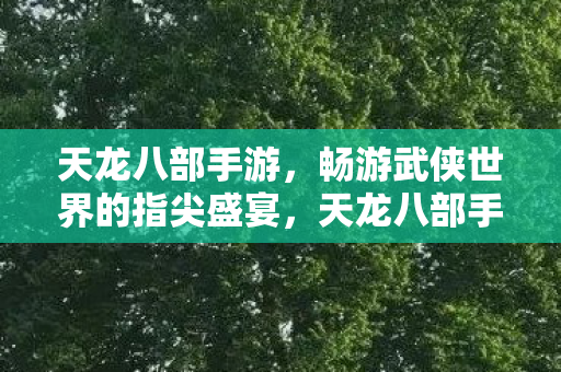 天龙八部手游,畅游武侠世界的指尖盛宴,天龙八部手游,畅游武侠世界的指尖盛宴 天龙八部手游,畅游武侠世界的指尖盛宴,天龙八部手游,畅游武侠世界的指尖盛宴