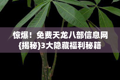 免费天龙八部信息网图片