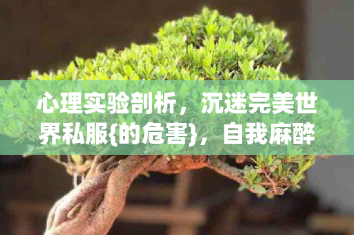 沉迷完美世界私服图片