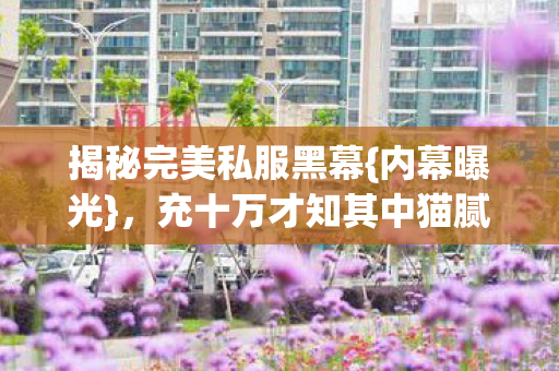 充十万才知其中猫腻图片
