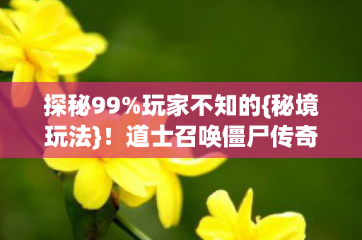 探秘99%玩家不知的{秘境玩法}!道士召唤僵尸传奇私服 探秘99%玩家不知的{秘境玩法}!道士召唤僵尸传奇私服