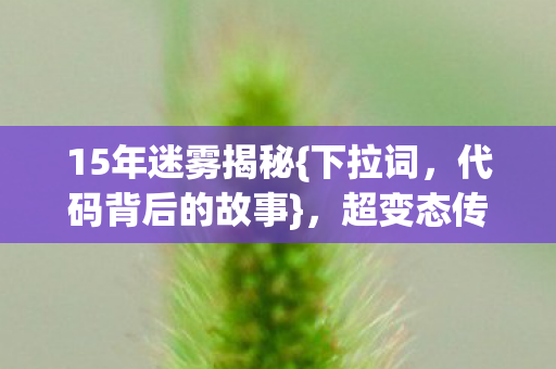 15年迷雾揭秘{下拉词,代码背后的故事},超变态传奇私服网传奇 15年迷雾揭秘{下拉词,代码背后的故事},超变态传奇私服网传奇