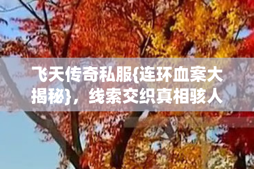 飞天传奇私服{连环血案大揭秘},线索交织真相骇人 飞天传奇私服{连环血案大揭秘},线索交织真相骇人