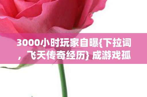 3000小时玩家自曝{下拉词，飞天传奇经历} 成游戏孤儿真相