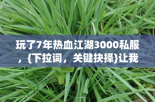 玩了7年热血江湖3000私服图片