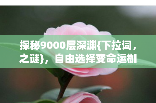 探秘9000层深渊图片