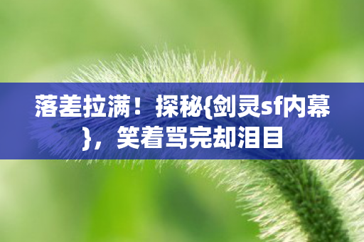 笑着骂完却泪目图片