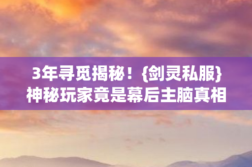 神秘玩家竟是幕后主脑真相图片